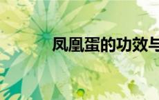 凤凰蛋的功效与作用（凤凰蛋）