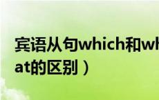 宾语从句which和what的区别（which和what的区别）