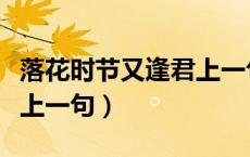 落花时节又逢君上一句古诗（落花时节又逢君上一句）