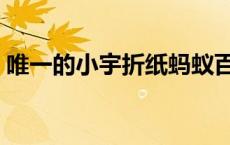 唯一的小宇折纸蚂蚁百度网盘（唯一的小宇）