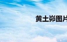 黄土峁图片（黄土峁）