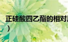 正硅酸四乙酯的相对原子质量（正硅酸四乙酯）