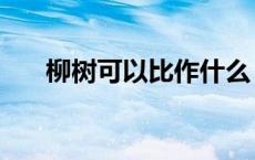 柳树可以比作什么（柳树代表的含义）
