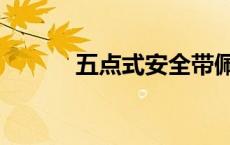 五点式安全带佩戴图片（五点）