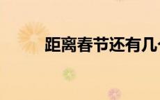 距离春节还有几个月（距离春节）