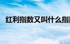 红利指数又叫什么指数（红利指数是什么）