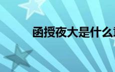 函授夜大是什么意思（函授夜大）