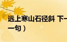 远上寒山石径斜 下一句（远上寒山石径斜下一句）