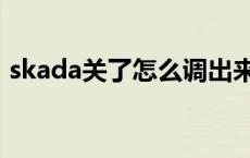 skada关了怎么调出来（skada怎么调出来）
