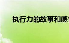 执行力的故事和感悟（执行力的故事）