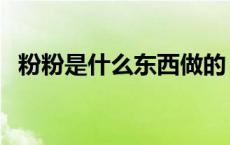 粉粉是什么东西做的（粉粉折返利网官方）