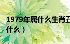 1979年属什么生肖五行属什么命（1979年属什么）