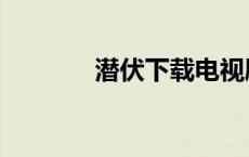 潜伏下载电视剧（潜伏下载）