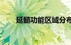 延髓功能区域分布图（延髓的功能）