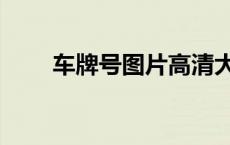 车牌号图片高清大图（车牌号图片）