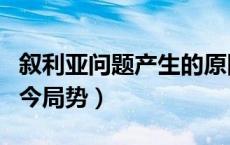 叙利亚问题产生的原因（叙利亚问题起因与当今局势）