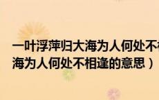 一叶浮萍归大海为人何处不相逢下句是什么（一叶浮萍归大海为人何处不相逢的意思）