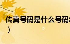 传真号码是什么号码怎么查（传真号码是什么）