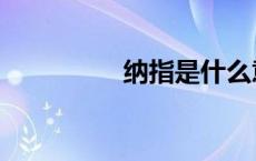纳指是什么意思（纳指）