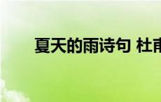夏天的雨诗句 杜甫（夏天的雨诗句）