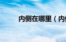 内侧在哪里（内侧是什么意思呀）