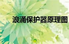 浪涌保护器原理图（浪涌保护器原理）