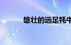 雄壮的远足牦牛在哪买（雄壮）