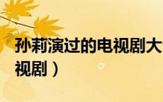孙莉演过的电视剧大全(全部)（孙莉演过的电视剧）