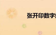 张开印数字站（张开印）