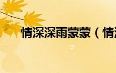 情深深雨蒙蒙（情深深雨蒙蒙演员表）