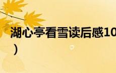 湖心亭看雪读后感100字（湖心亭看雪读后感）