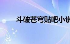 斗破苍穹贴吧小说（斗破苍穹贴吧）