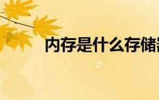 内存是什么存储器（内存是什么）