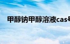 甲醇钠甲醇溶液cas号（甲醇钠甲醇溶液）