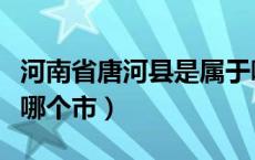 河南省唐河县是属于哪个市（河南省唐河县是哪个市）