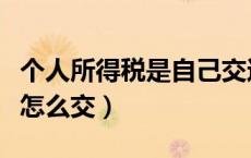 个人所得税是自己交还是公司交（个人所得税怎么交）