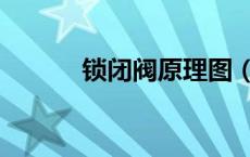 锁闭阀原理图（什么是锁闭阀）