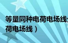 等量同种电荷电场线分布立体图（等量同种电荷电场线）