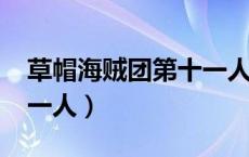 草帽海贼团第十一人2023（草帽海贼团第十一人）