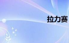 拉力赛（拉力）