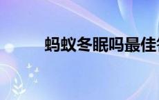蚂蚁冬眠吗最佳答案（蚂蚁冬眠）