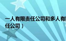 一人有限责任公司和多人有限责任公司的区别（一人有限责任公司）