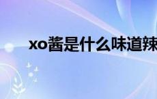 xo酱是什么味道辣吗?（xo酱是什么）