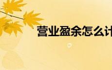 营业盈余怎么计算（营业盈余）