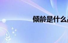 倾龄是什么品牌（倾点）