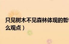 只见树木不见森林体现的哲学道理（只见树木不见森林是什么观点）