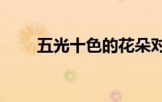 五光十色的花朵对不对（五光十色）
