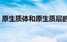 原生质体和原生质层的区别图解（原生质体）