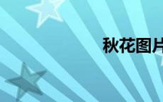 秋花图片（秋花）