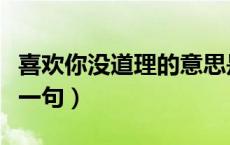 喜欢你没道理的意思是什么（喜欢你没道理下一句）